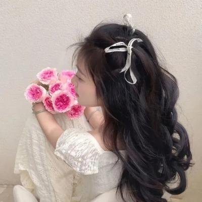 反贪风暴